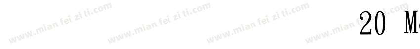 文鼎立体像素20 Medium字体转换